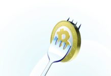 Bitcoin fork przewodnik